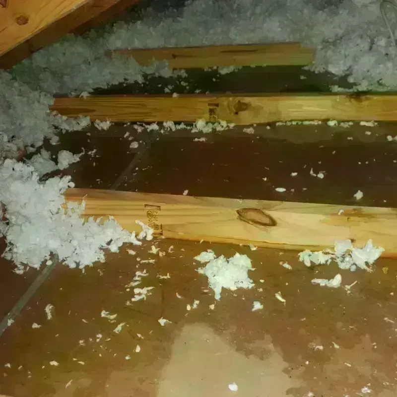 Attic Water Damage in Lake Monticello, VA