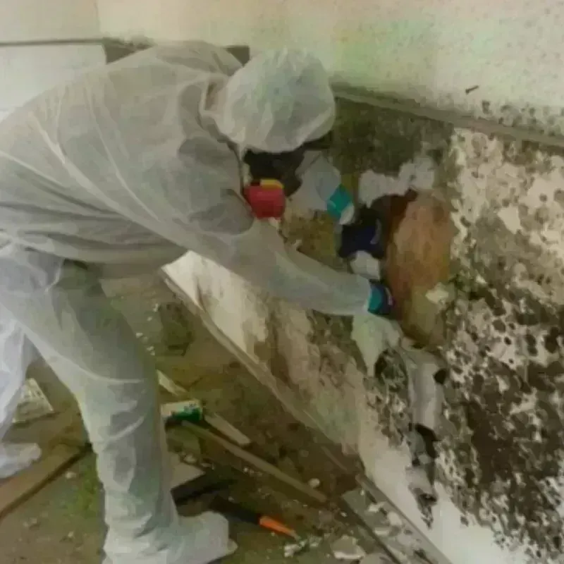 Mold Remediation and Removal in Lake Monticello, VA