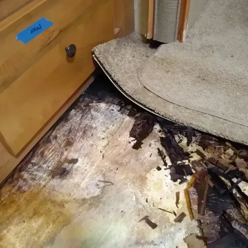 Best Wood Floor Water Damage Service in Lake Monticello, VA